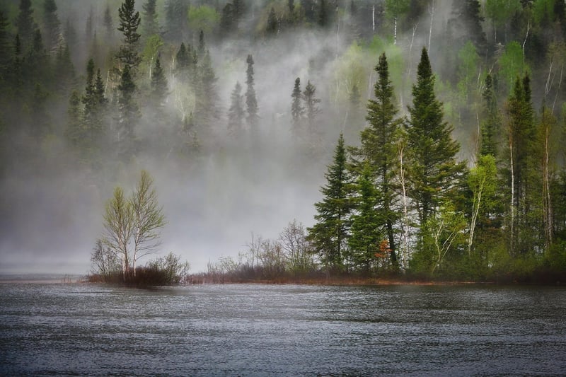 Découvrez l'importance de la biodiversité pour atténuer le changement climatique en 2026