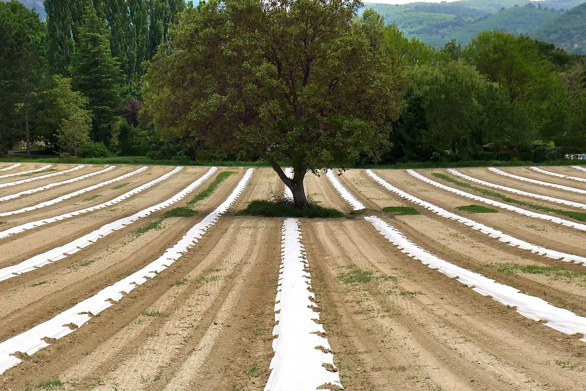 L’agroécologie comme réponse systémique