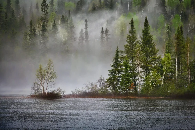 La résilience environnementale passe par la diversité des espèces